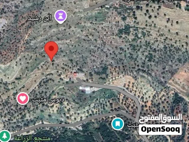 Mixed Use Land for Sale in Ajloun A'anjara