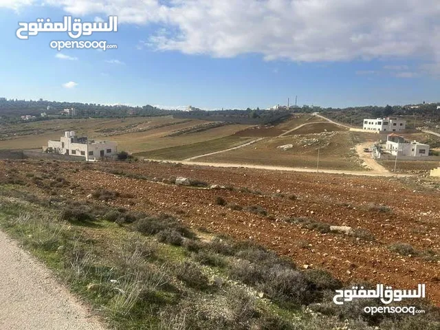 Residential Land for Sale in Amman Naour