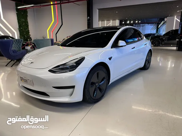 2021 Tesla Model 3 Standard 54 kWh / Dealer Warranty / Good Condition