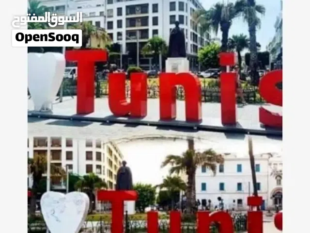 100 m2 2 Bedrooms Apartments for Rent in Tunis Other