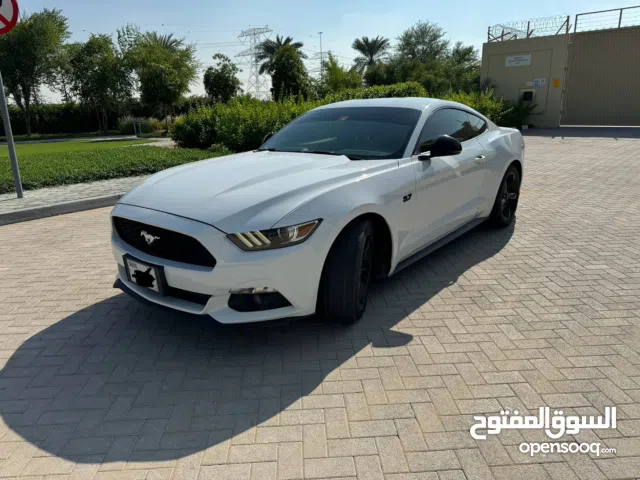 2016 Zero accident GCC Mustange