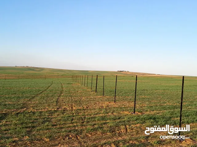 Farm Land for Sale in Madaba Thiban