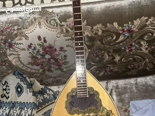 Greek bouzouki(from greek)