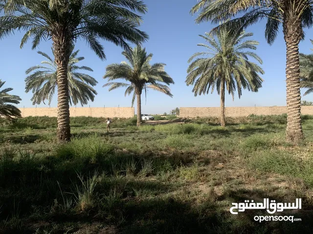 Mixed Use Land for Sale in Baghdad Abu Ghraib