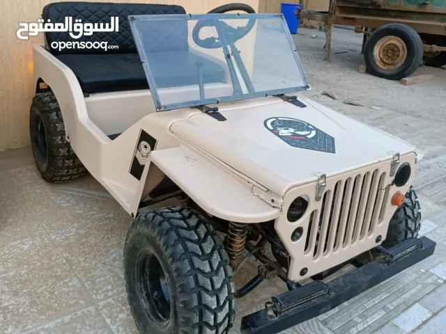 للبيع ميني جيب