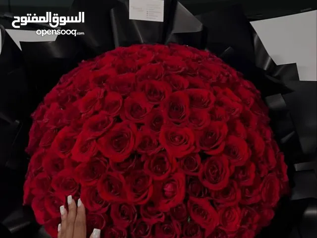 ROUMAISSA DJILALI