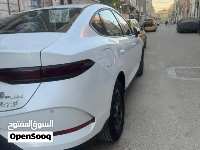 2025 بي واي دي كين