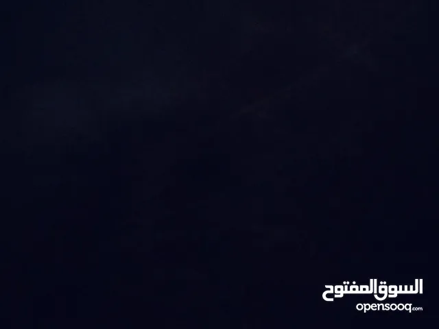 مطلوب الدن رينق