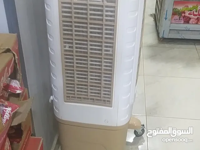 تكيف صحراوي