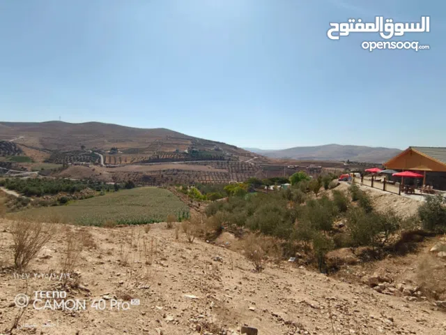 تدريس رياضيات وفيزياء