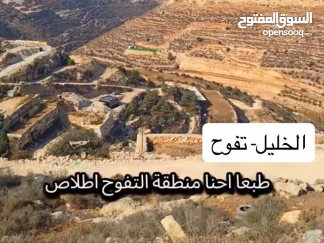 Residential Land for Sale in Hebron Tapuah