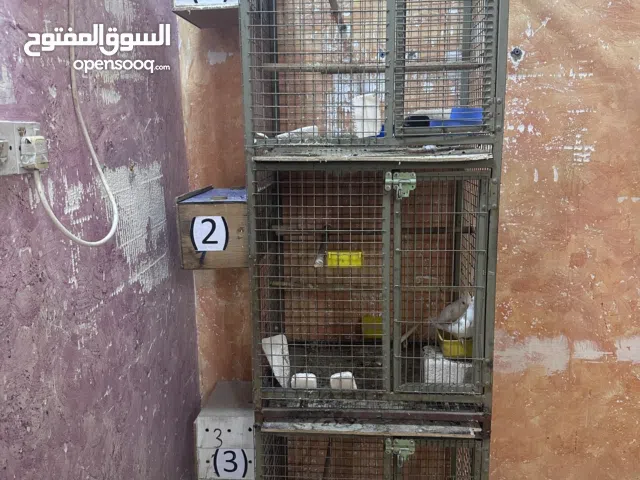 خانات حديد اقرا الوصف