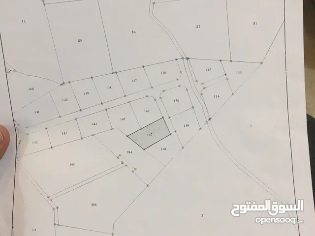 ارض للبيع في موبص ابو  زعرور الشرقي