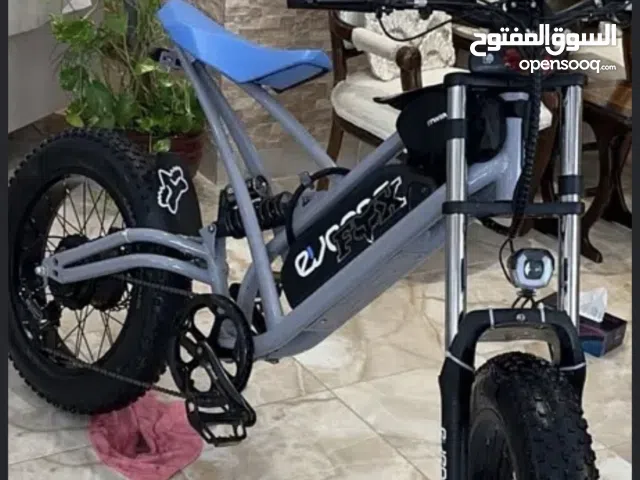 Eveons blue bee ii electric bike