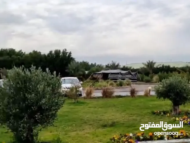 للبيع مزرعه نباتي العبدلي ملكيه فرديه