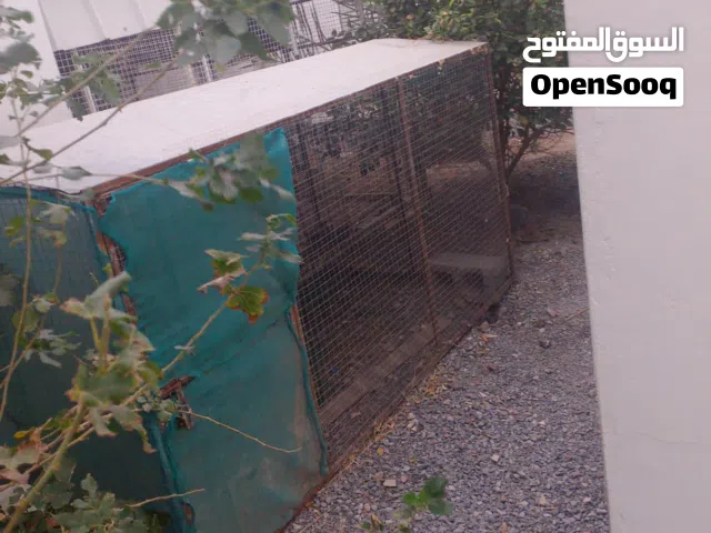 قفص الحجم الكبير استخدام قليل جداا