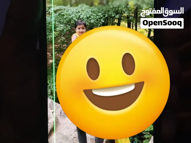 Apple iPhone 15 Pro Max 256 GB in Basra