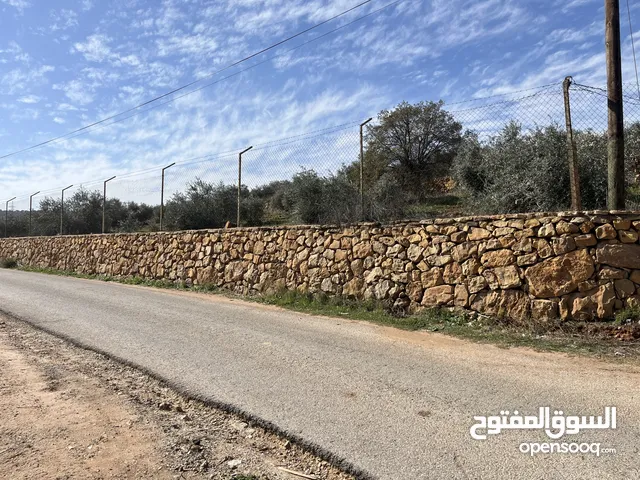 Mixed Use Land for Sale in Salt Al Subeihi