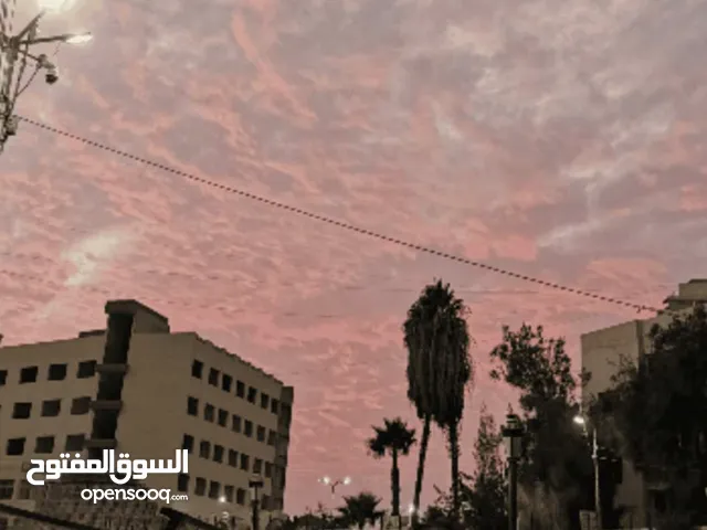 مطعم مرخص للايجار بموقع حيوي امام جامعه الفيوم
