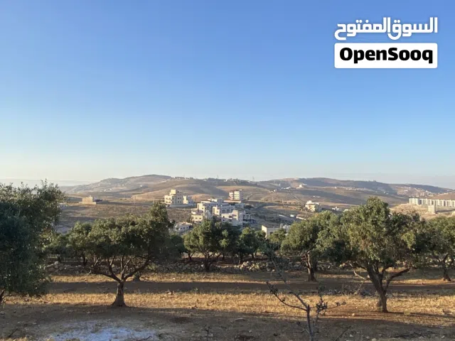 Residential Land for Sale in Amman Shafa Badran