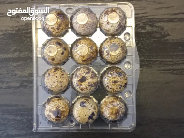 يوجد بيض فري علبه على7 شيكل