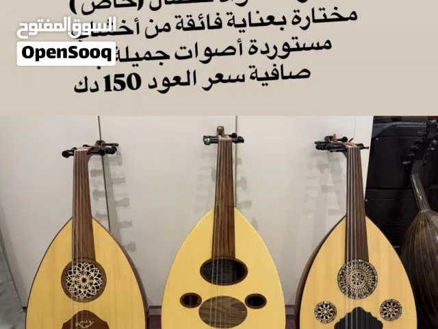 turki alsaeed