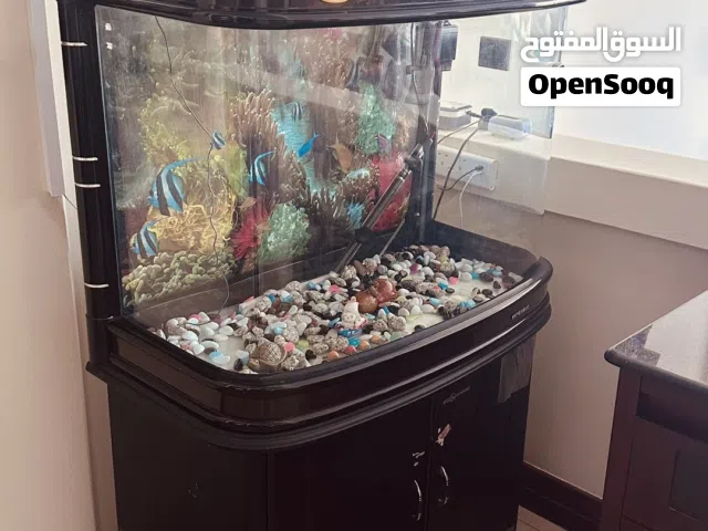 Fish Tank 1 Mtr