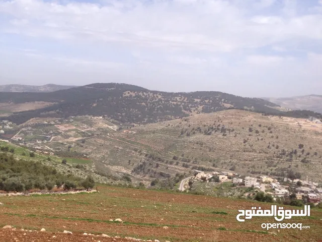 Residential Land for Sale in Amman Umm A-Dananir