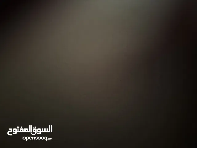 مجسمات ومزهريات