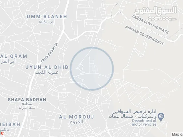 Residential Land for Sale in Amman Shafa Badran