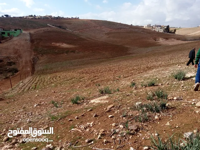 ارض زراعية مساحة 3600 للبيع