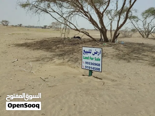 ارض للبيع في المصنعة