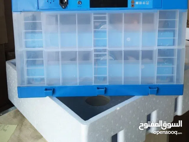 شناص ابوبقرة