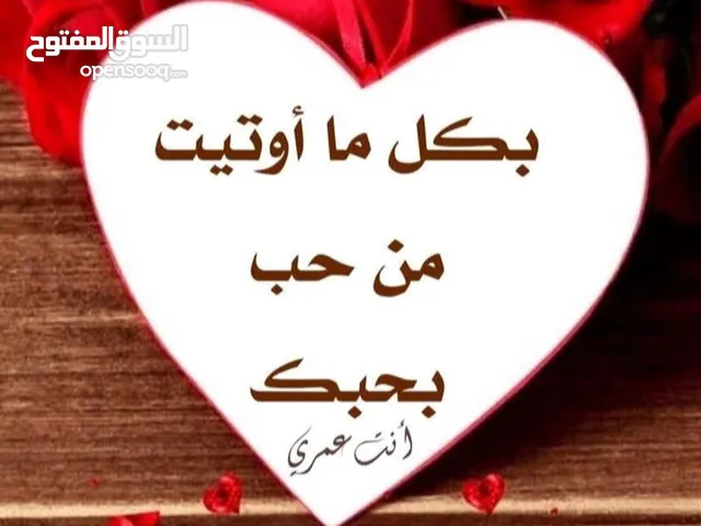 شيف فطاير