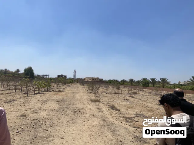 ارض متقسمه الي احواض ل الايجار ب العبور جمعيه عرابي