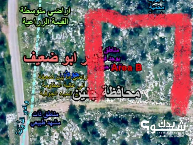 Mixed Use Land for Sale in Jenin Deir Abu Da'If