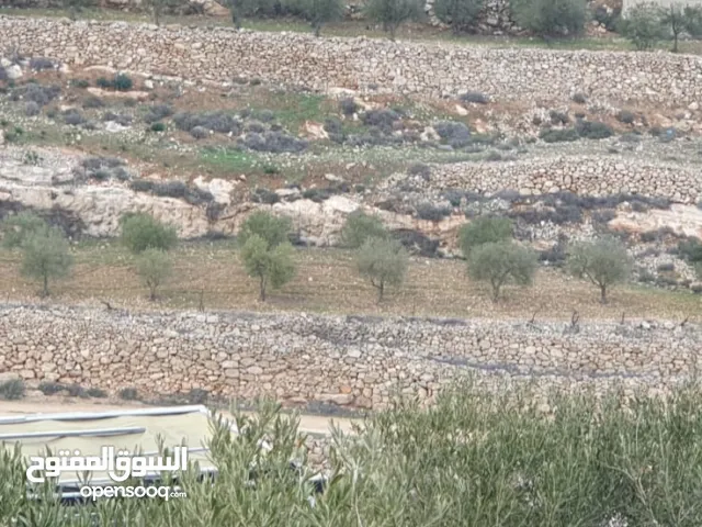 Residential Land for Rent in Bethlehem Other