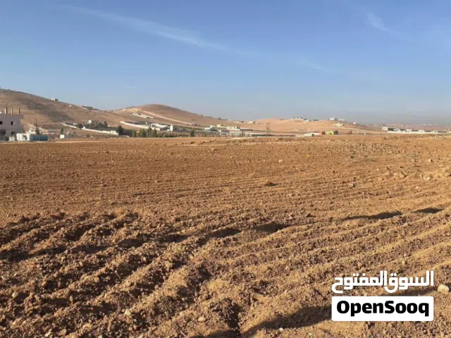 ارض لقطة بسعر مغري جدا فىصة العمر لاتضيعها قابل للتفاوض بالمعقول (تواصل على الواتس)