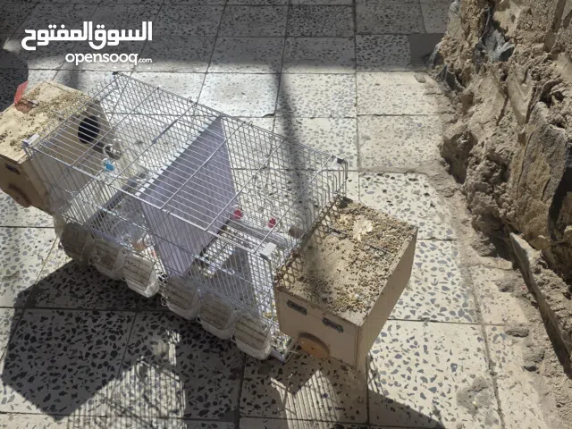 اقفاص عصافير للبيع مع البياضات