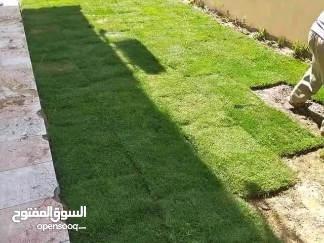 عشب امريكي طبعي للبيع