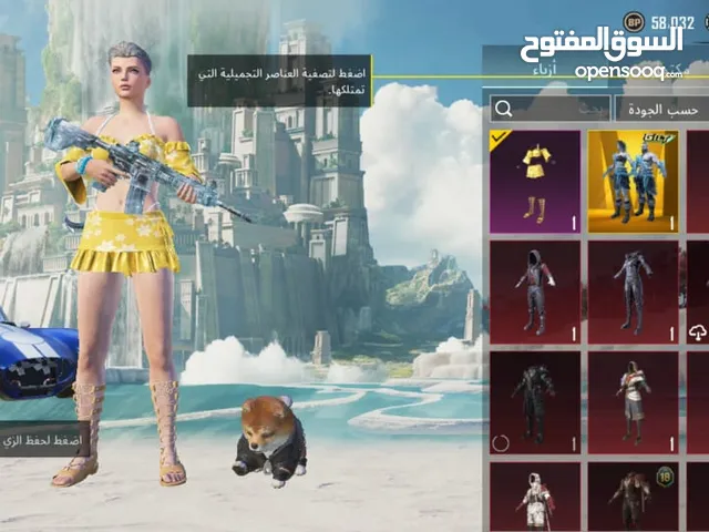 Pubg Accounts and Characters for Sale in Northern Governorate