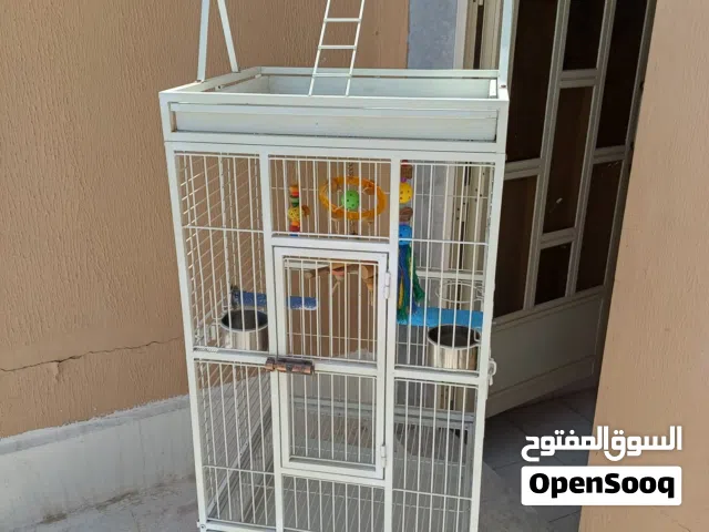 للبيع قفص كبير حيل مع كامل اغراضه