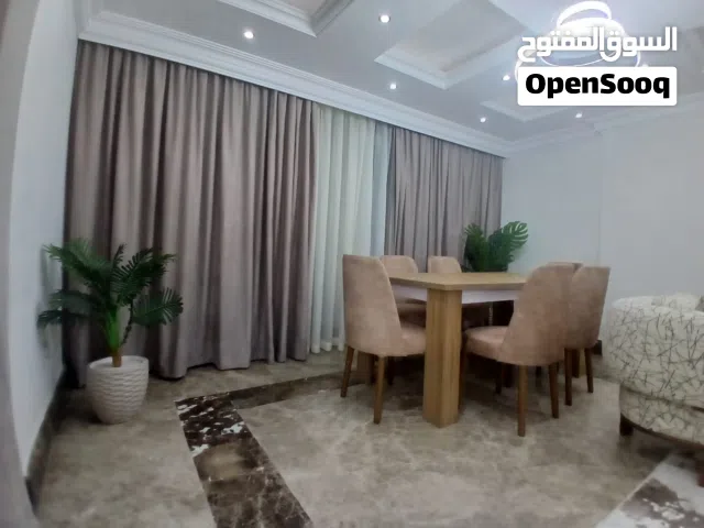 Furnished Daily in Cairo Nasr City