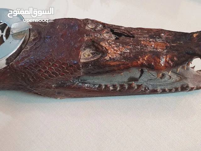 رأس تمساح فرعوني