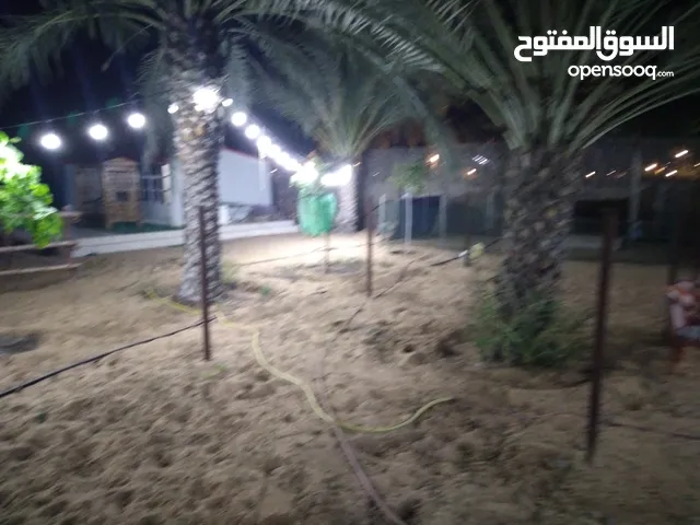 1 Bedroom Farms for Sale in Sharjah Al Zubair
