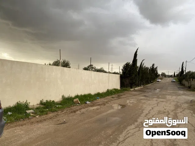 أرض للبيع قرية سالم