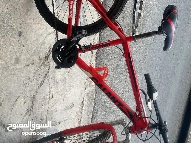 بسكليت جنط26