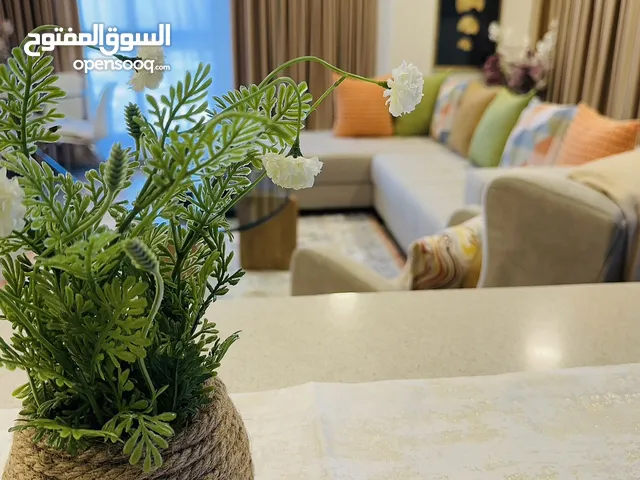 شقة فاخرة للإيجار بتصميم عصري وأثاث جديد، مطله علي إستاد البيت وجامعه بلقرب من الحديقه الهلاميه ،