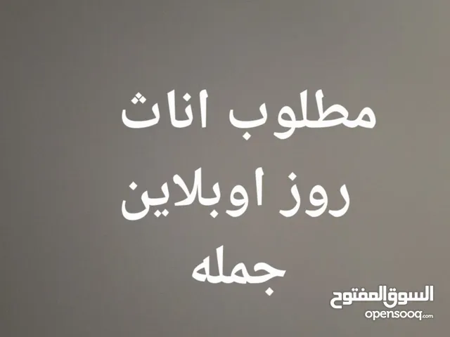 مطلوب اناث روز اوبلاين جمله تابع الوصف