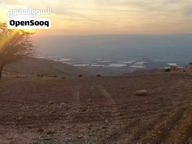 أرض للبيع من المالك 4 دونم بداخل كمباوند السلط حمرة الصحن على رأس تلةمطلة على فلسطين اطلالة بانوراما